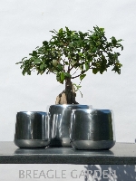 BOB aluminium Cooker planter large