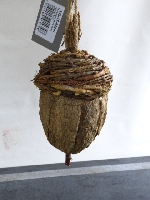 Decoratieve eikel naturel klein