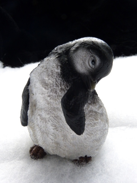 Pinguin C small