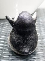 Pinguin A medium