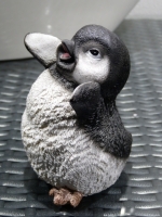 Pinguin A medium