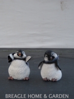 Pinguin B medium