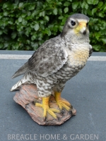 Roofvogel