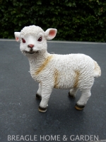 Lammetje mini A