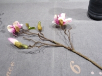 Magnolia W/R