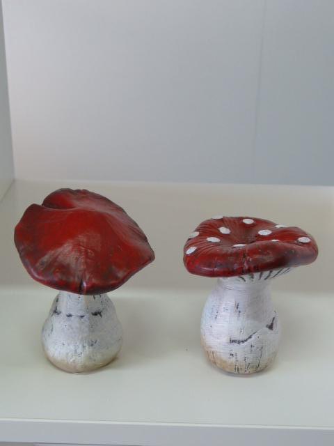 Mushroom red medium