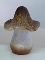 Mushroom naturel/4