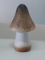 Mushroom naturel/4