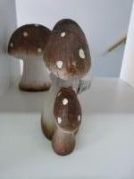 Mushroom naturel stippen/4