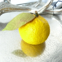 Sinaasappel