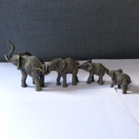 Groep olifanten