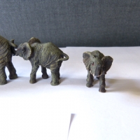 Groep olifanten