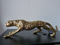 Colmore jaguar alu raw/bronze