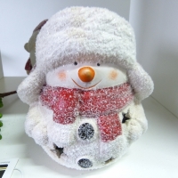 Kerstman/Sneeuwpop