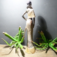 Afrikaanse vrouw corn/staand
