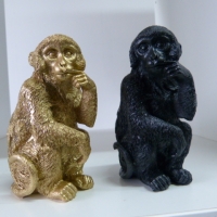 Monkey gold/black S