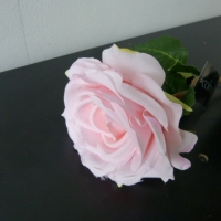 Colmore flower rose pink