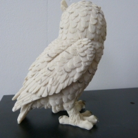 Witte uil M