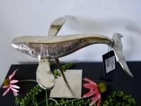 Colmore decoratieve whale alu/raw/ni