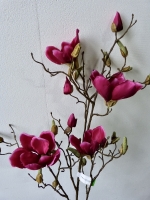 Magnolia branch donker roze