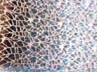 Colmore decoratieve fabric bronze