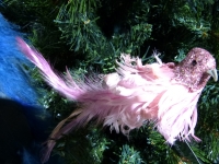 Colmore bird pink/clip 009