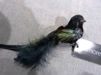 Colmore bird black/clip 012
