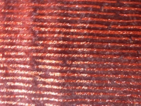 Colmore decoratieve fabric rood