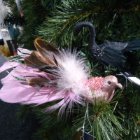 Colmore Bird feather pink clip 062