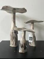 Mushroom hout S